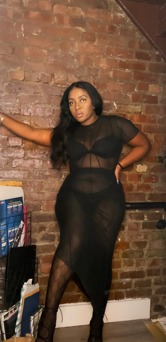 Mila mesh slant dress